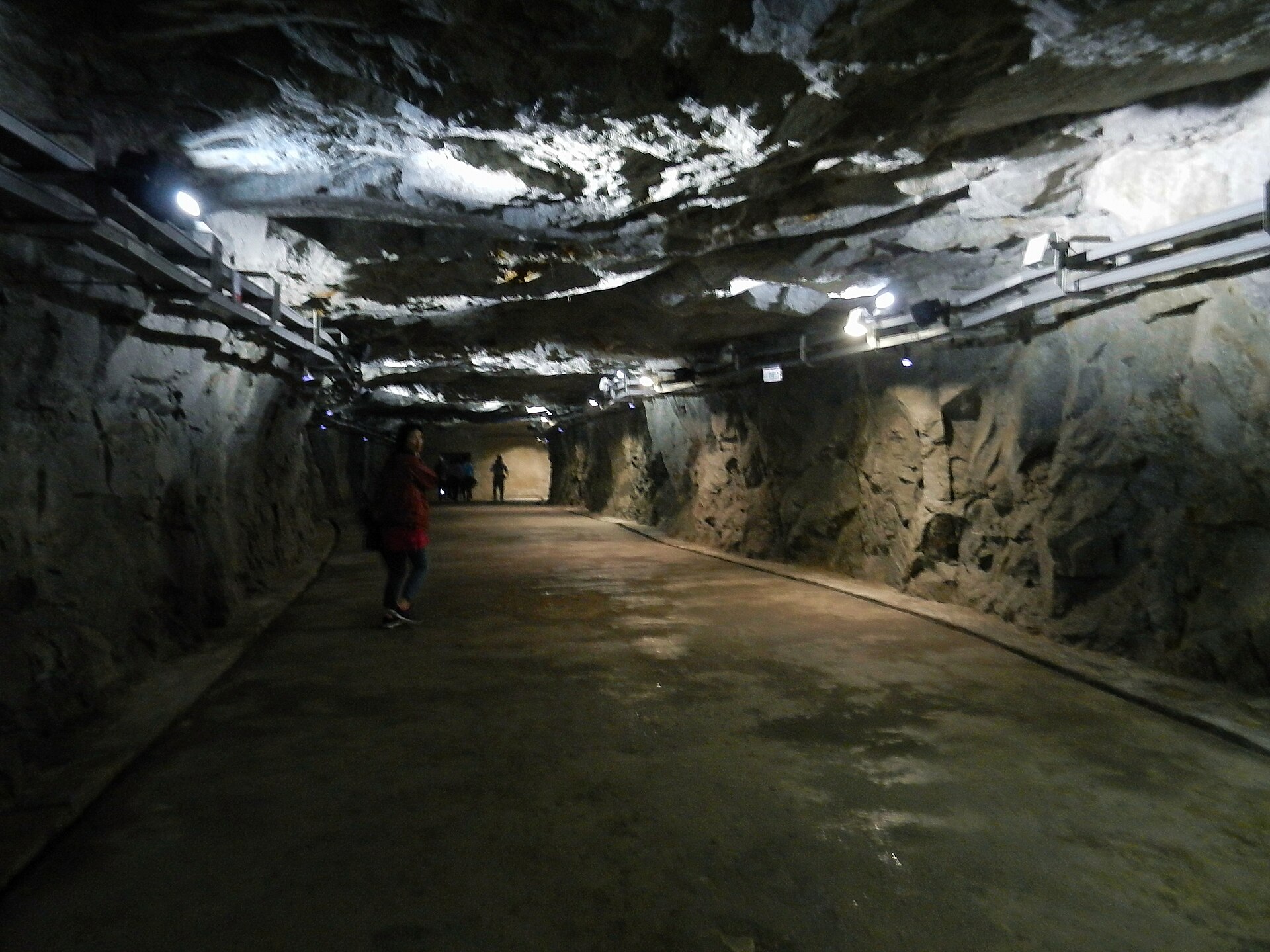 翟山坑道陸上通道 · Zhaishan Tunnel land corridor